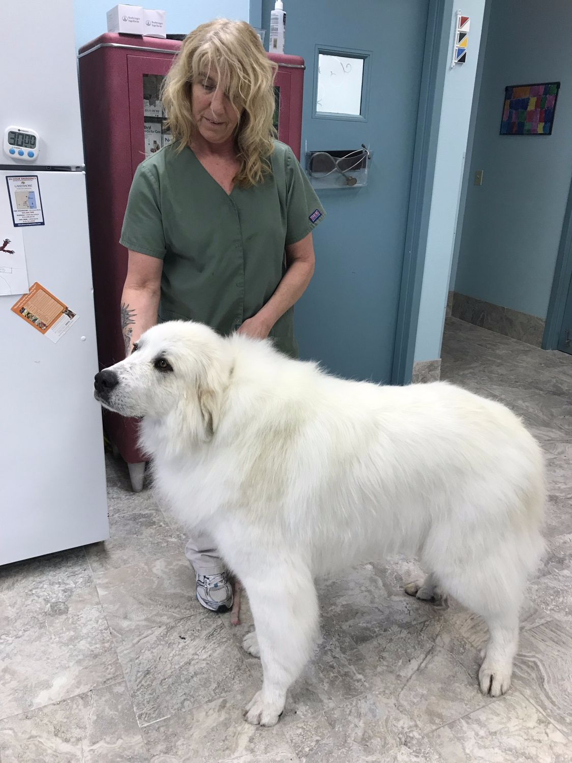 Mishicot Veterinary Clinic - Photo of Staff Member with Dog