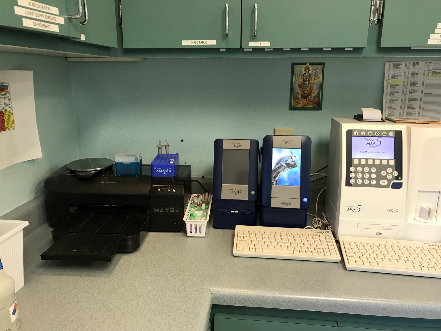 Mishicot Veterinary Clinic - Photo of Lab